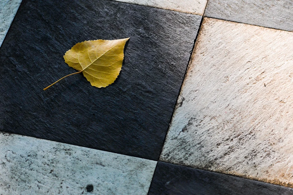 Quelles dimensions de carreaux choisir pour les WC ?